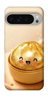 Чохол на Google Pixel 9 Pro XL Dumpling ver.6 фото 1 з 1