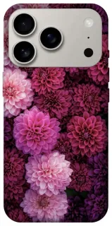 Чехол на Apple iPhone 18 Pro Garden1 фото 1 из 2
