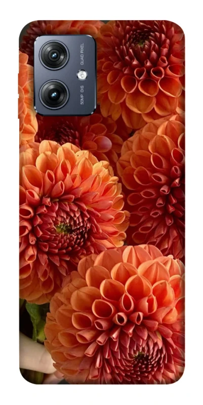 Чохол на Motorola Moto G54 Flower1 фото 1 з 1