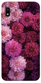 Чохол на Samsung Galaxy A10 (A105F) Garden1 фото 1 з 1