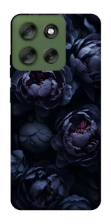 Чохол на Motorola Moto G56 5G Sunny Snowdrops фото 1 з 1