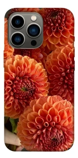 Чохол на Apple iPhone 13 Pro (6.1") Flower1 фото 1 з 1