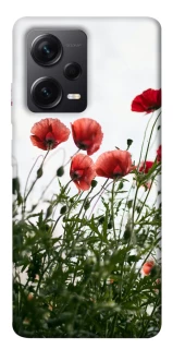 Чехол на Xiaomi Redmi Note 12 Pro 5G Поле маков фото 1 из 1