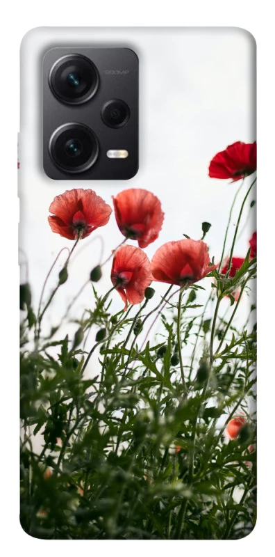 Чохол на Xiaomi Redmi Note 12 Pro+ 5G Поле маків фото 1 з 1