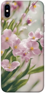 Чехол на Apple iPhone XS Max (6.5") Spring фото 1 из 1