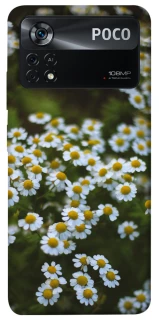 Чехол на Xiaomi Poco X4 Pro 5G Ромашки v13 фото 1 из 1