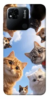 Чехол на Xiaomi Redmi 10A Cats фото 1 из 1