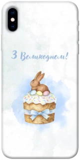 Чехол на Apple iPhone X (5.8") Easter ver.8 фото 1 из 1