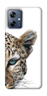 Чохол на Motorola Moto G54 Power Leopard Art v2 фото 1 з 1