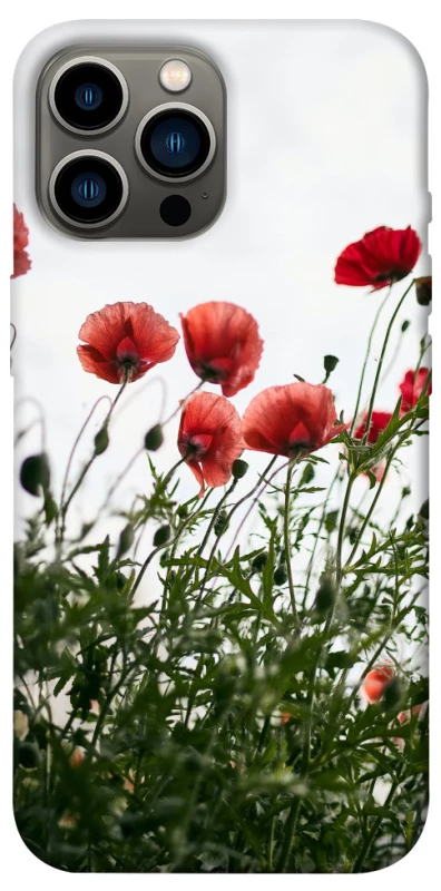 Чохол на Apple iPhone 12 Pro Max (6.7") Поле маків фото 1 з 1