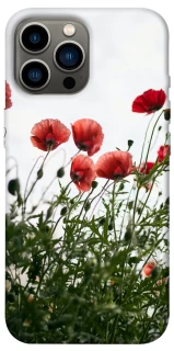 Чохол на Apple iPhone 12 Pro Max (6.7") Поле маків фото 1 з 1
