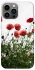 Чохол на Apple iPhone 12 Pro Max (6.7") Поле маків фото 1 з 1