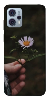 Чохол на Motorola Moto G23 Ромашка v4 фото 1 Чохол на Motorola Moto G23 Ромашка v4 фото 1 з 1