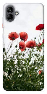 Чохол на Samsung Galaxy A04 Поле маків фото 1 з 1