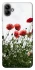 Чохол на Samsung Galaxy A04 Поле маків фото 1 з 1