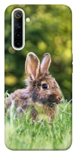 Чехол на Realme 6 Кролики фото 1 из 1