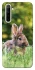 Чехол на Realme 6 Кролики фото 1 из 1
