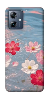 Чохол на Motorola Moto G54 Power Breeze Bloom фото 1 з 1