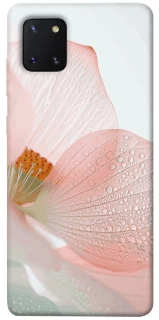 Чохол на Samsung Galaxy Note 10 Lite (A81) Flowers zon фото 1 Чохол на Samsung Galaxy Note 10 Lite (A81) Flowers zon фото 1 з 1