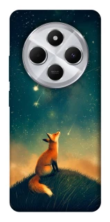 Чехол на Xiaomi Redmi 14C / Poco C75 Sky fox фото 1 из 1