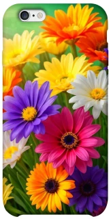 Чохол на Apple iPhone 6/6s (4.7") Flowers v32 фото 1 з 1