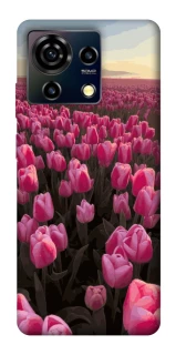 Чехол на ZTE Blade V50 Vita Spring Awakening фото 1 из 1