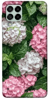 Чохол на Samsung Galaxy M53 5G Secret Garden фото 1 з 1