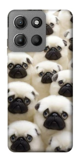 Чехол на Motorola Moto G15 4G Doggy Pug Love фото 1 из 1