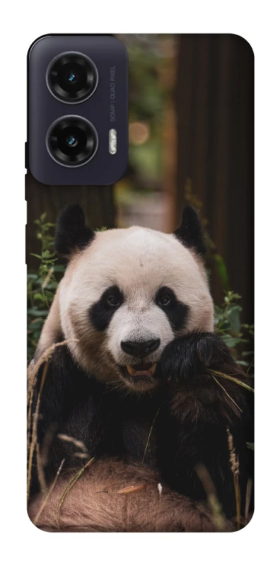 Чехол на Motorola Moto G35 Панда фото 1 из 1