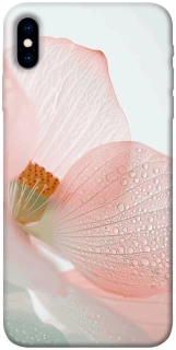 Чехол на Apple iPhone X (5.8") Flowers zon фото 1 из 1