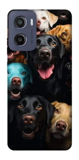 Чехол на Motorola Moto G05 Собаки фото 1 из 1