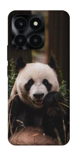 Чехол на Huawei Honor X6a Панда фото 1 из 1