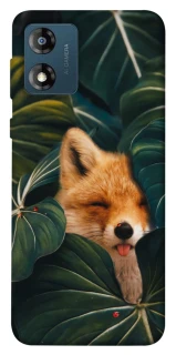 Чехол на Motorola Moto E13 Fox фото 1 из 1