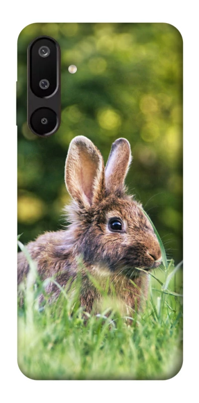 Чехол на Samsung Galaxy M16 5G Кролики фото 1 из 1