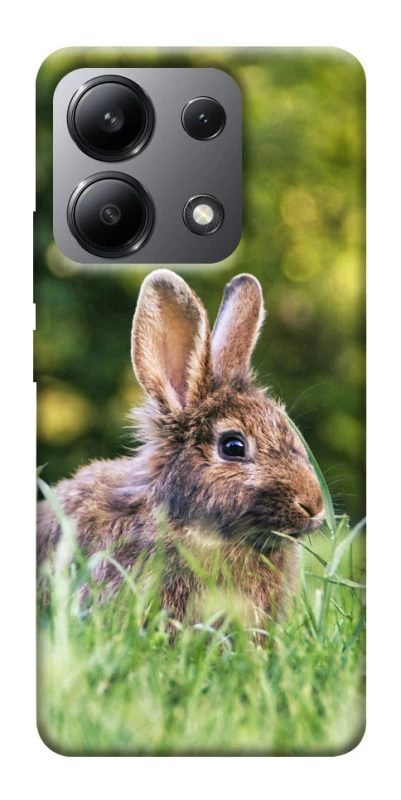 Чехол на Xiaomi Redmi Note 13 4G Кролики фото 1 из 1
