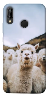 Чохол на Huawei P20 Lite Лама фото 1 Чохол на Huawei P20 Lite Лама фото 1 з 1