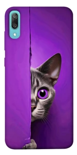 Чохол на Huawei Y6 Pro (2019) Кіт-підглядач фото 1 з 1
