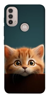 Чохол на Motorola Moto E40 Чохол Кошеня фото 1 з 1