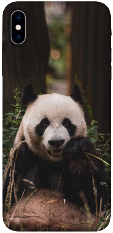 Чехол на Apple iPhone XS Max (6.5") Панда фото 1 из 1