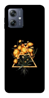 Чохол на Motorola Moto G54 Flowers ver.1 фото 1 Чохол на Motorola Moto G54 Flowers ver.1 фото 1 з 1