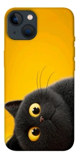 Чохол на Apple iPhone 13 (6.1") This is Cat фото 1 з 1
