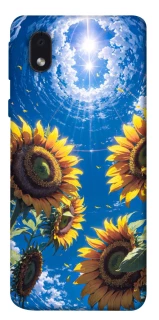Чохол на Samsung Galaxy M01 Core / A01 Core Sunflowers фото 1 з 1