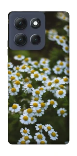 Чохол на Motorola Moto G86 Power Ромашки v13 фото 1 з 1