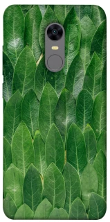 Чохол на Xiaomi Redmi 5 Plus / Redmi Note 5 (Single Camera) Листя фото 1 з 1