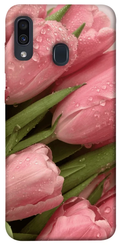 Чехол на Samsung Galaxy A20 / A30 Beauty фото 1 из 1