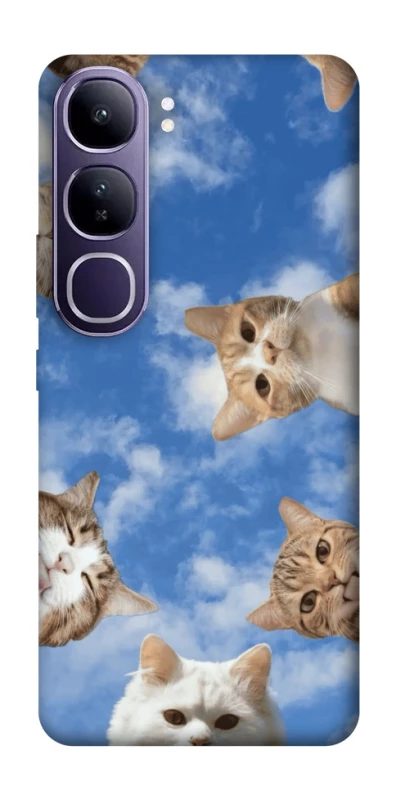 Чохол на Vivo Y300 Сats фото 1 з 1