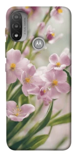 Чохол на Motorola Moto E20 Spring фото 1 з 1