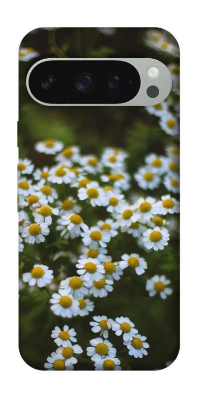 Чехол на Google Pixel 10 Pro XL Ромашки v13 фото 1 из 1