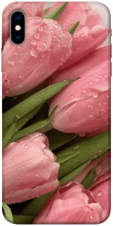 Чехол на Apple iPhone X (5.8") Beauty фото 1 из 1