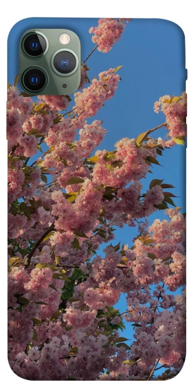 Чохол на Apple iPhone 11 Pro Max (6.5") Flowers v4 фото 1 з 1